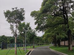 -东莞植物园