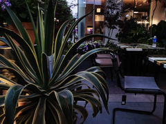 -PlantsEatery·植物食堂(REX春熙店)