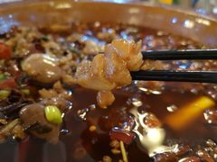 -西木兔(大圆祥店)