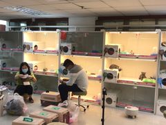 -lincat·猫舍(广州店)