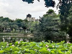 -荔湾湖公园