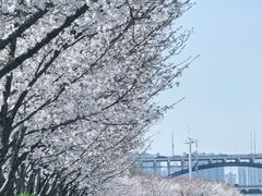-钱塘江