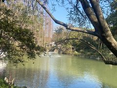-上海醉白池公园