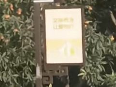 -嘉定紫藤园