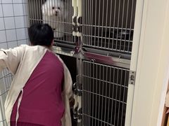 -瑞派康怡24h宠物医院·犬猫医疗中心·微创绝育(瑞景分院)