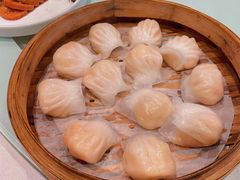 -高第街56号餐厅(美莲广场店)