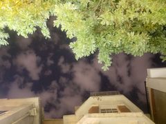 -花笙记打边炉·煲仔饭(五大道店)