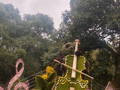 -杭州植物园