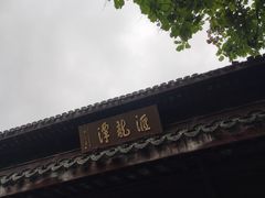 -汇龙潭