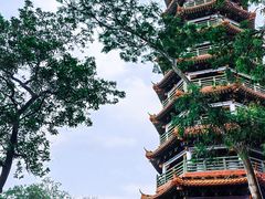 -红花山公园