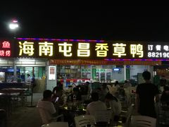 -盐禾堂海南屯昌香草鸭(总店)