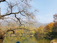 -紫霞湖公园