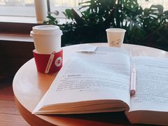 -Seesaw Coffee(朝阳大悦城店)