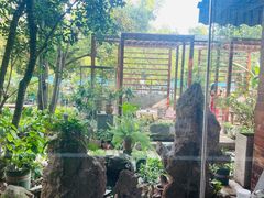 -谷咖啡·鲜花绿植花园餐厅