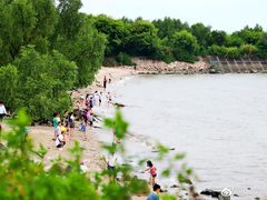 -宝安西湾红树林湿地公园