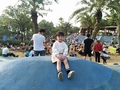 -宝安西湾红树林湿地公园