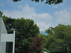 -雕刻之森美术馆