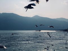 -滇池海埂公园
