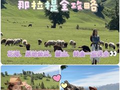-新疆那拉提国家旅游度假区