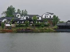 -大塘金香草谷