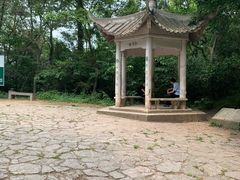 -紫金山山顶公园