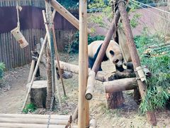 -杭州动物园