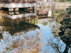 -秋霞圃