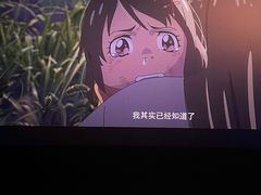 -武汉华夏国际影城(鲁广店)