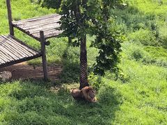 -西霞口神雕山野生动物世界