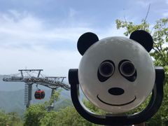 -牛背梁国家森林公园