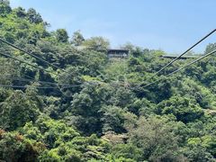 -南丹山森林王国