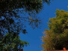 -梧桐山风景名胜区