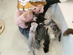 -共舞时光猫咖·狗咖(新街口店)