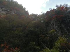 -沣峪口