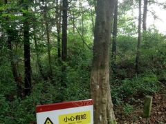 -江南天池