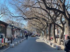 -北京国子监胡同