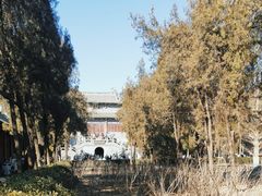 -洛阳白马寺