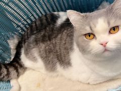 -PETKIT小佩宠物·低压洗护(国顺东路店)