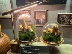 -原牛道·潮汕围炉火锅(讯美店)