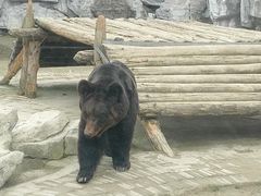 -黔灵山公园