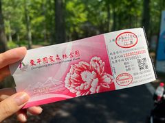 -东平国家森林公园