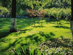 -棒棰岛宾馆景区