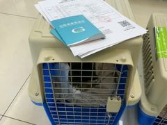 -北京观赏动物医院·24小时大型综合·猫专科·异宠专科