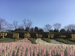-安仁古镇