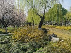 -堤角公园