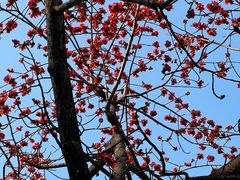 -烈士陵园(地铁站)