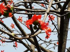-晓港公园