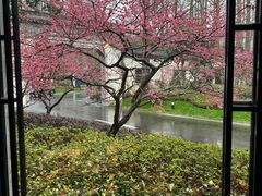 -杭州西湖柳莺里酒店·闻莺厅