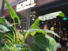 -同仁四季椰子鸡(宝安壹方城店)