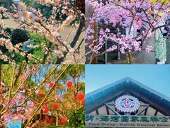 -上海海湾国家森林公园